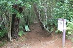Ogasawara_Starting point